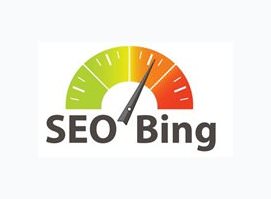 Студия Романа Челлера «SEO Bing»