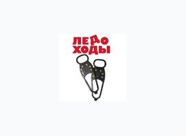 Ледоходы