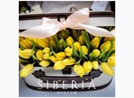 Siberia, ресторан