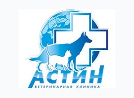 Астин