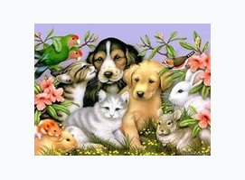 Животный лекарь