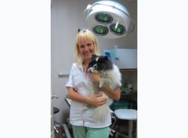 Ветеринарная клиника Ниаландо - вет