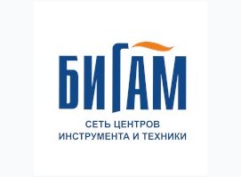 Бигам