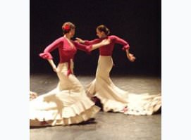 “Idioma Flamenco”