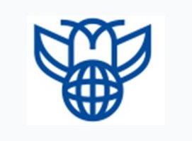 Институт гуманитарного образования и тестирования