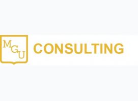 MGU - Consulting