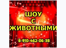 Шоу с животными