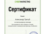 Аудит сайтов от Александра Тригуб