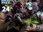 Funkflowers