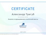 Аудит сайтов от Александра Тригуб