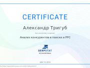 Школа SEO-маркетинга Александра Тригуб