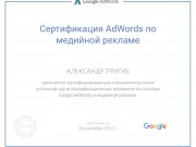 Аудит сайтов от Александра Тригуб