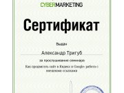 Аудит сайтов от Александра Тригуб