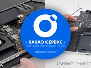 КакаоСервис