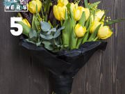 Funkflowers