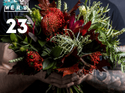 Funkflowers