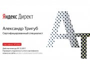 Аудит сайтов от Александра Тригуб