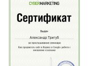 Школа SEO-маркетинга Александра Тригуб