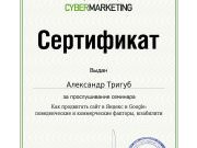 Школа SEO-маркетинга Александра Тригуб