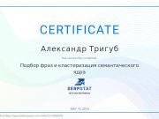 Школа SEO-маркетинга Александра Тригуб