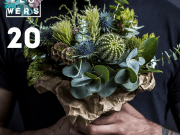 Funkflowers