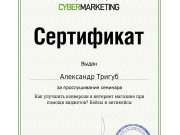 Школа SEO-маркетинга Александра Тригуб