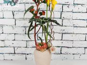 Funkflowers