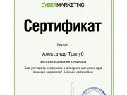 Аудит сайтов от Александра Тригуб