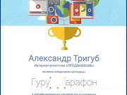 Школа SEO-маркетинга Александра Тригуб