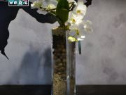 Funkflowers