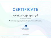 Школа SEO-маркетинга Александра Тригуб