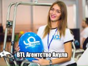 BTL Агентство Акула