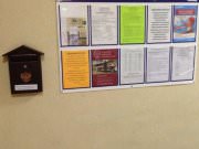 BTL Агентство Акула