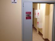 BTL Агентство Акула