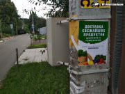 BTL Агентство Акула