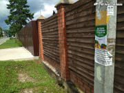 BTL Агентство Акула