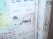 BTL Агентство Акула