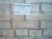 BTL Агентство Акула