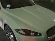 BTL Агентство Акула