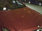 BTL Агентство Акула