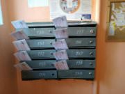 BTL Агентство Акула