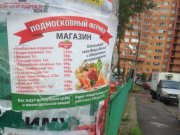 BTL Агентство Акула