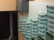 BTL Агентство Акула