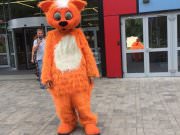 BTL Агентство Акула