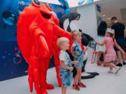 BTL Агентство Акула