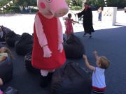 BTL Агентство Акула