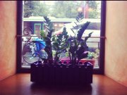 By the Wine, гастро-бар