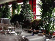 La Maree, сеть ресторанов