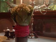 La Maree, сеть ресторанов