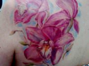 Тату Салон  «Мир Тату»